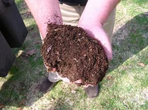 800px-Compost-dirt