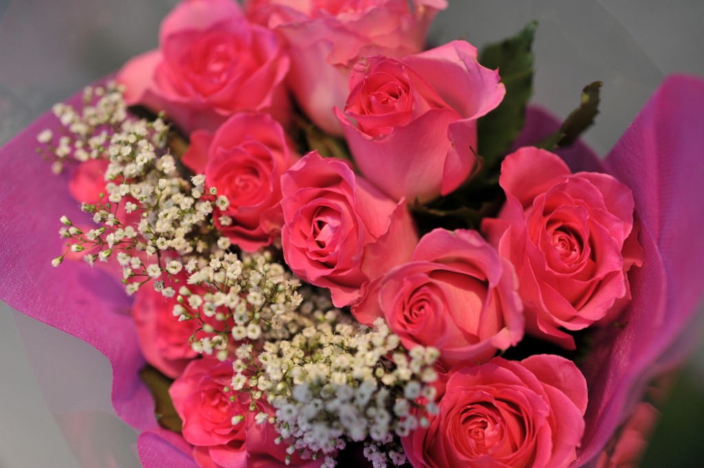 Image of Pink Roses
