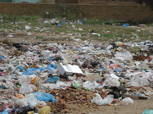 Plastic bags damage the environment