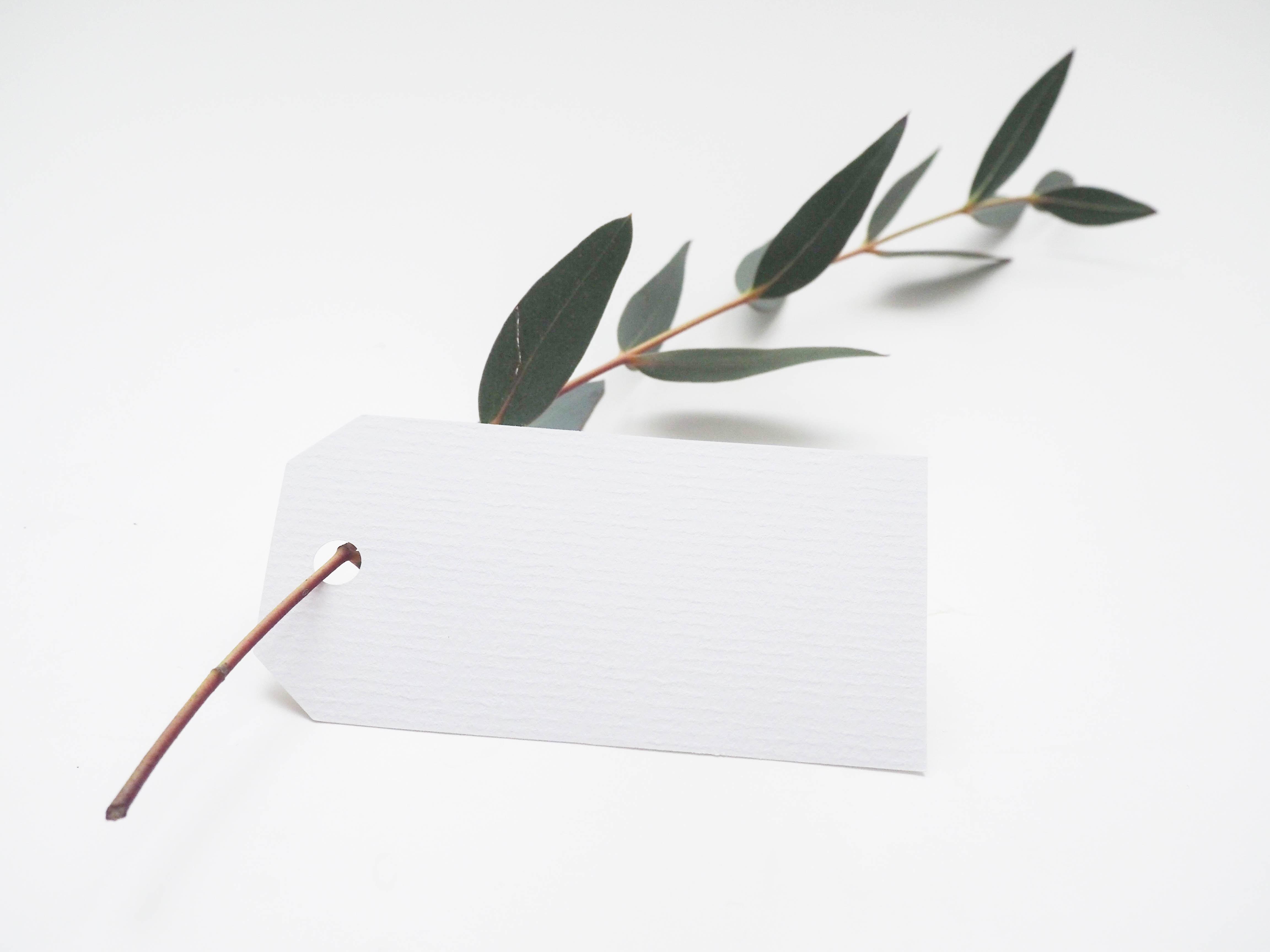 Environmental packaging alternatives - go green with Rajapack