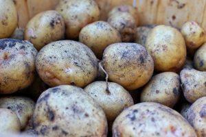 Eco-friendly protective packaging made from potato waste