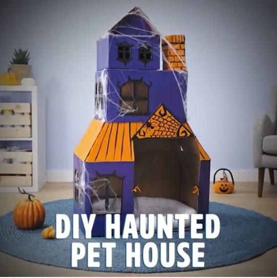 halloween cardboard cat house