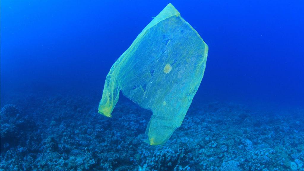 Can you recycle plastic bags? Recycling Plastic bags RAJA UK
