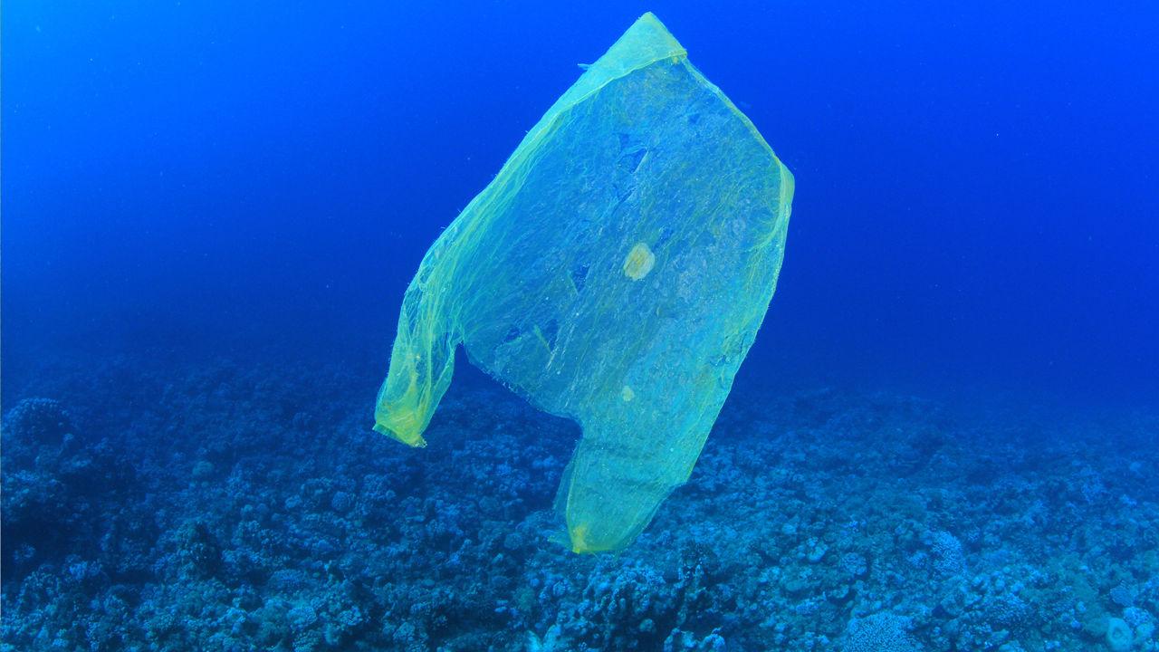 Plastic bags means they are very useful, but also must be reused or recycled