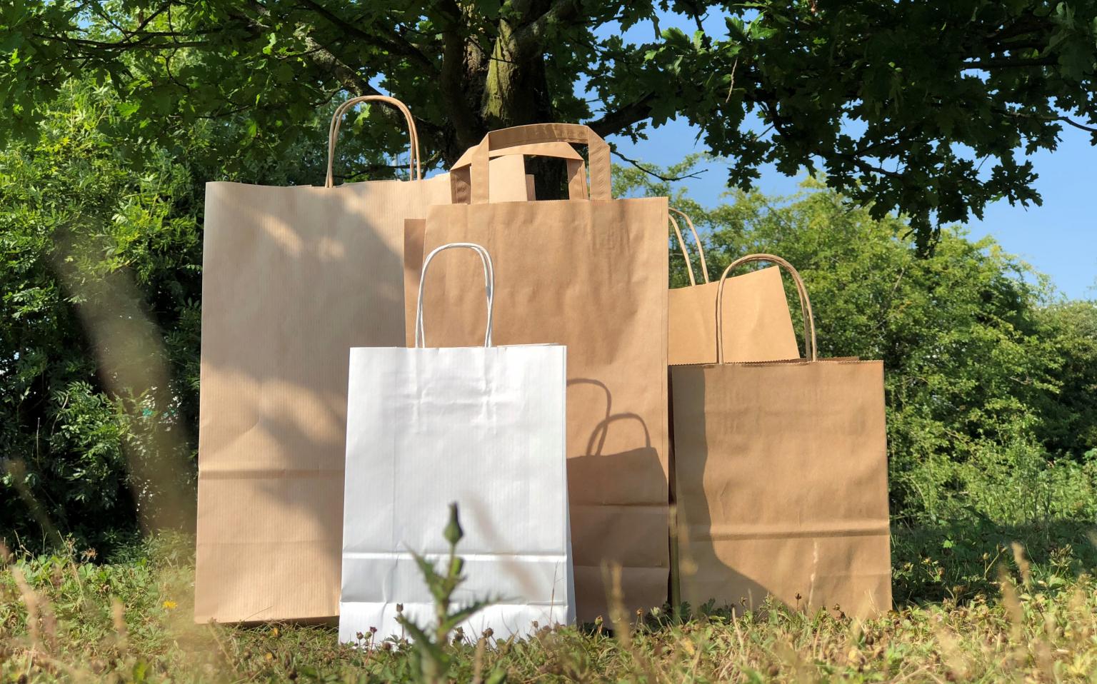 Can all paper bags be recycled? Paper packaging RAJA UK