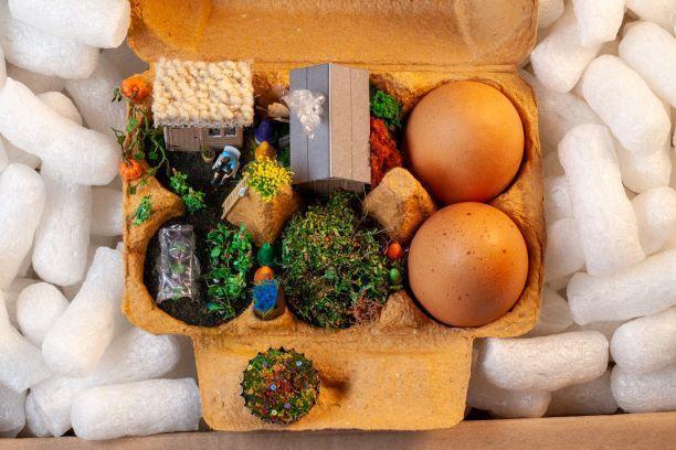 The Art of Sustainability Roy Tyson - Egg box
