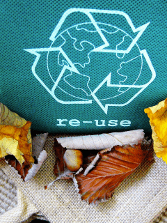Recycling : all the info to help you create a greener business